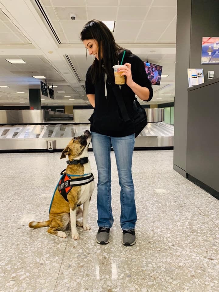 amarillo dog owner with trained dog in airport