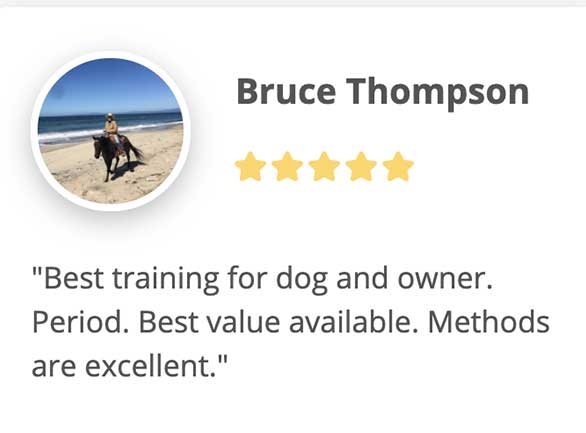 Bruce review
