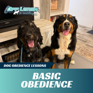 Basic obedience
