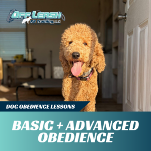 basic and advanced obedience