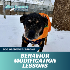 behavior modification lessons