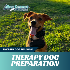 therapy dog preparation