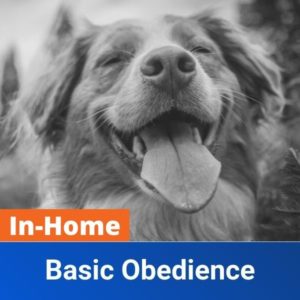 in home basic obedience product image