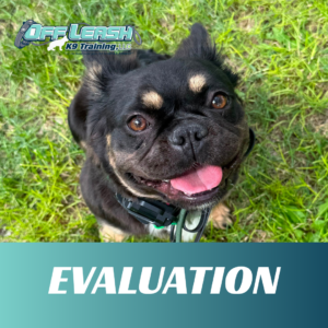 evaluation