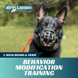 behavior modification training