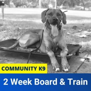 community k9 board & train product image