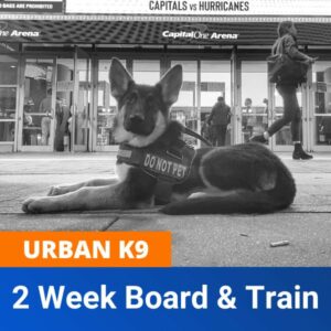 urban k9 board and train product image