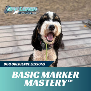 basic marker mastery