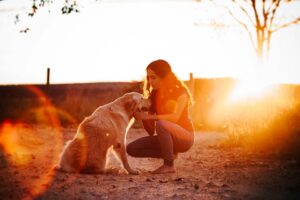 what is recall in dog training