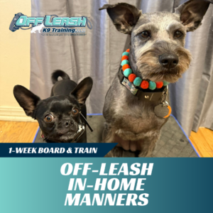 off-leash in-home manners