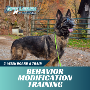behavior modification training